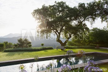 Sunny lap pool and idyllic garden with mountain view