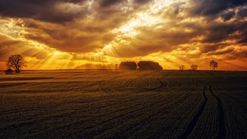 Sunrays on Clouds