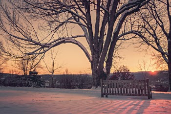 Sunrise in a Snowy Park Free Photo 