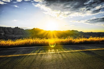 Sunrise in the South Dakatoa Badlands.  Love of the sun lights up the foliage along the side of the road.  Almost looks like it's on fire.  