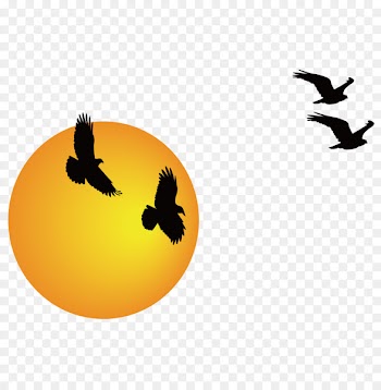 Sunrise Sunset - Cartoon sunrise 