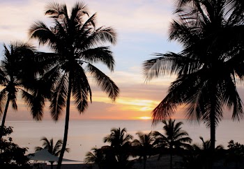 Sunset_6327.JPG