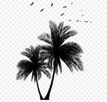 Sunset Arecaceae Euclidean vector Silhouette - Palms and Flock Silhouette PNG Clip Art Image 