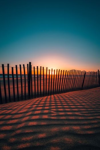 sunset as seen through brown wooden fences