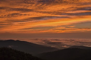 Sunset background. Free public domain | Free Photo - rawpixel