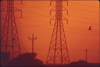 Sunset behind Power Lines in Galveston | Free Photo - rawpixel