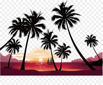 Sunset High-definition video Image resolution Wallpaper - Seaside sunset coconut tree vector 