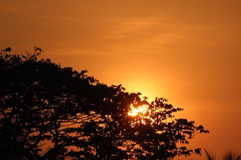 Sunset Illustration