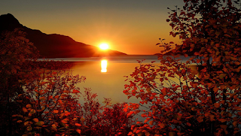 Sunset in autumn | 133 Wallpapers