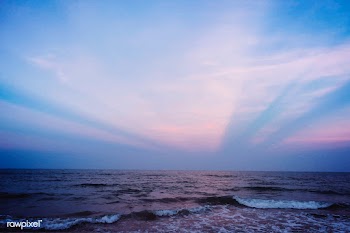 Sunset in the beach | Free stock vector - 597460