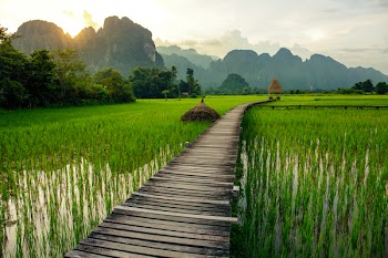 Sunset over green rice fields and mountains in Vang Vieng, Laos