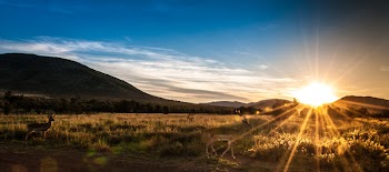 Sunset over Mountains