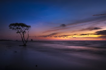Sunset Photography
