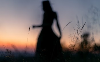 Sunset silhouette