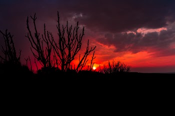 Sunset Under Cloudy Sky