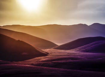 Sunset View