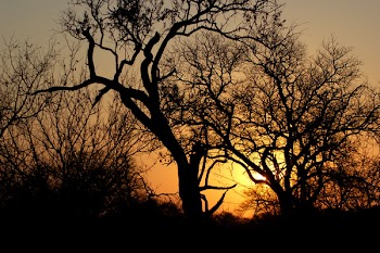 sunsetafrica1.jpg