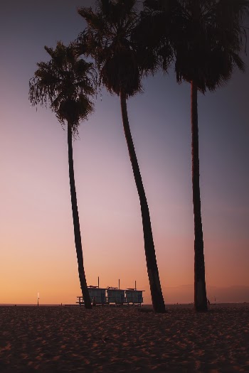 Sunsets in Venice Beach are like ketchup to your fries, something you need to try at least once in your life and you are not gonna leave it behind!