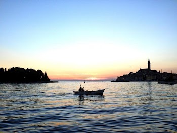 SUNSETTER 3.jpg