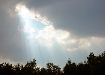 sunshine_001.jpg