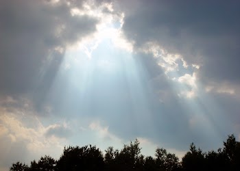 sunshine_002.jpg