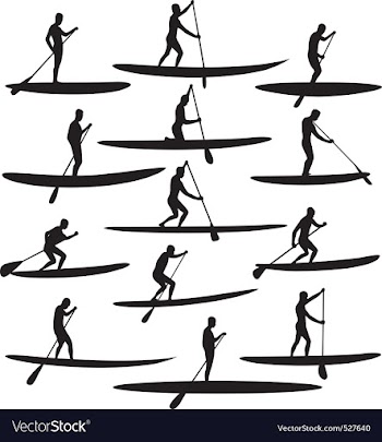 SUP Stand Up Paddle Boarding vector image