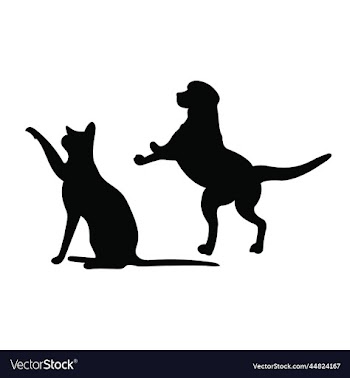 super dog and cat