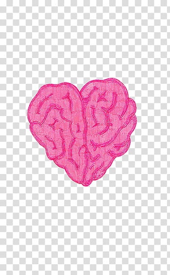 Super  , heart shaped brain transparent background PNG clipart