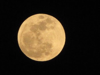 super moon 002.JPG