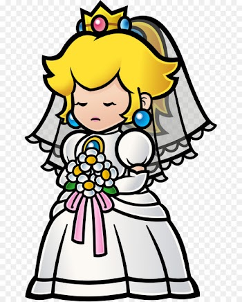 Super Paper Mario Princess Peach Toad -  