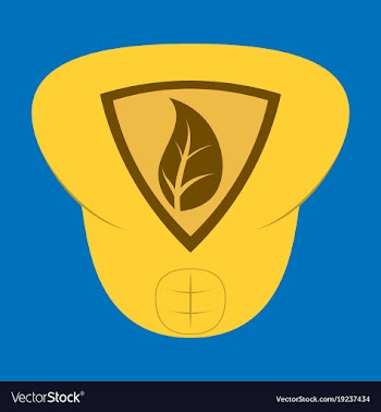 Superhero color flat badges emblems logos vector image