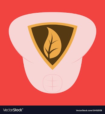 Superhero color flat badges emblems logos vector image