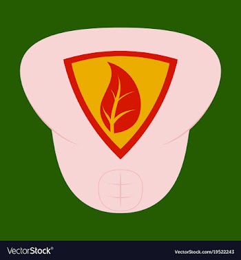Superhero color flat badges emblems logos vector image