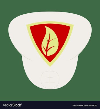 Superhero color flat badges emblems logos vector image