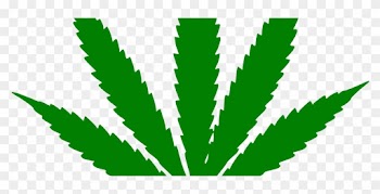 Superior Court Of Justice Grants City Of Toronto Interim - Marijuana Leaf Outline