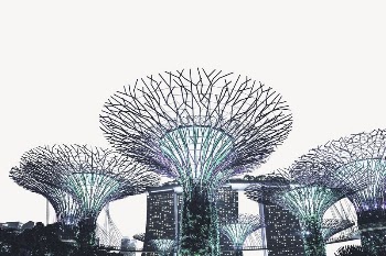 Supertree Grove in Singapore border | Free PSD - rawpixel