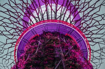 Supertree Grove, Singapore. Original public | Free Photo - rawpixel