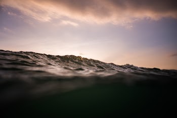 Surf
