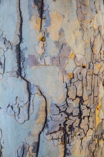 Surface and Texture of a Wall