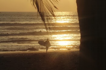 Surfer carrying his board at sunset. | Free Photo - rawpixel