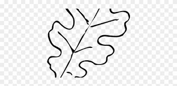 Surprise Fall Leaves Outline Leaf Template Oak Clip - Autumn Leaves Clip Art Black And White