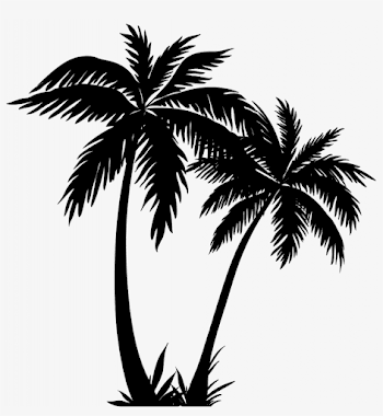 Survival Tree Outlines Obsession - Palm Tree Line Art - 988x1024 ...