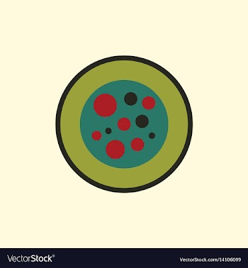 Sushi roll piece japanese food sushi roll with vector image