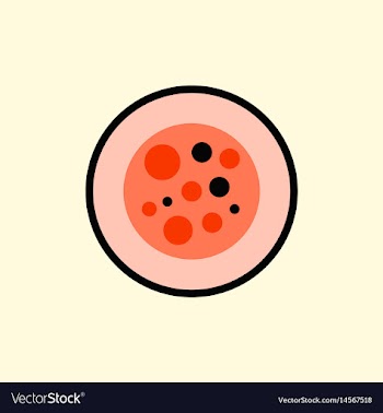 Sushi roll piece japanese food sushi roll with vector image