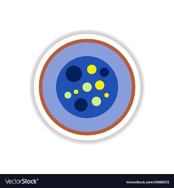 Sushi roll piece japanese food sushi roll with vector image