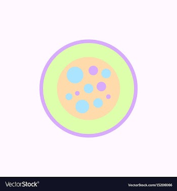 Sushi roll piece japanese food sushi roll with vector image