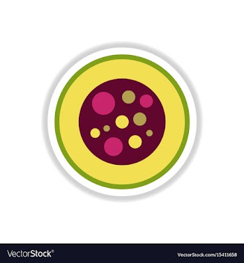 Sushi roll piece japanese food sushi roll with vector image
