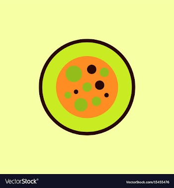 Sushi roll piece japanese food sushi roll with vector image