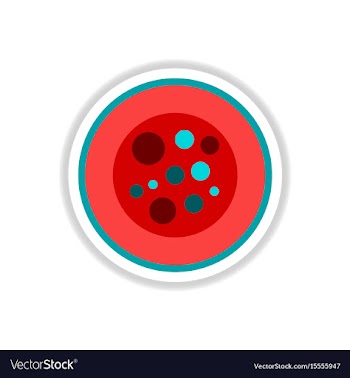 Sushi roll piece japanese food sushi roll with vector image
