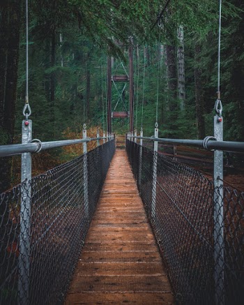 Suspension Bridge